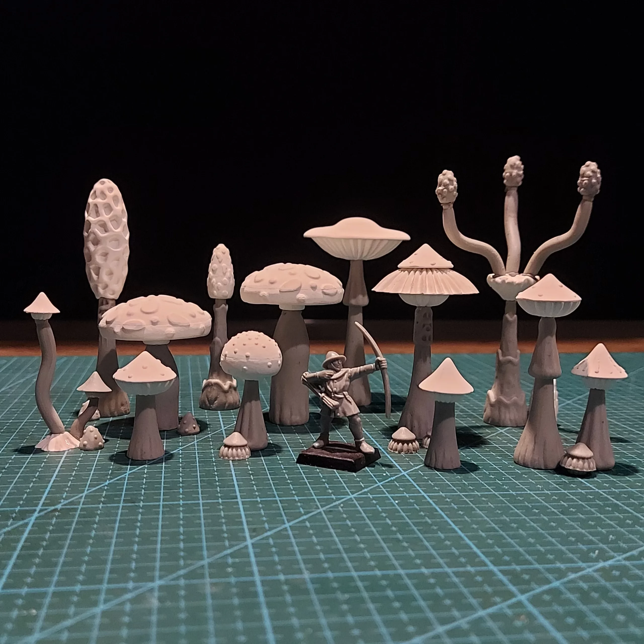 Mushrooms moulds